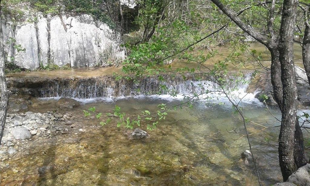 Apartment Savic Starigrad Paklenica Exterior photo